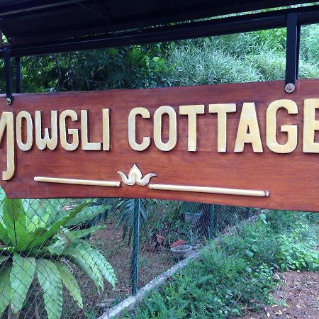 Mowgli Cottage Szigirija Kültér fotó